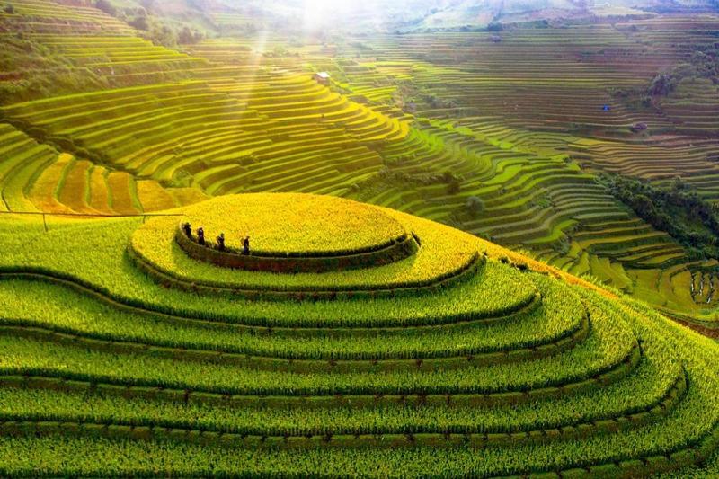 Hong Minh Guesthouse Mu Cang Chai Exteriér fotografie