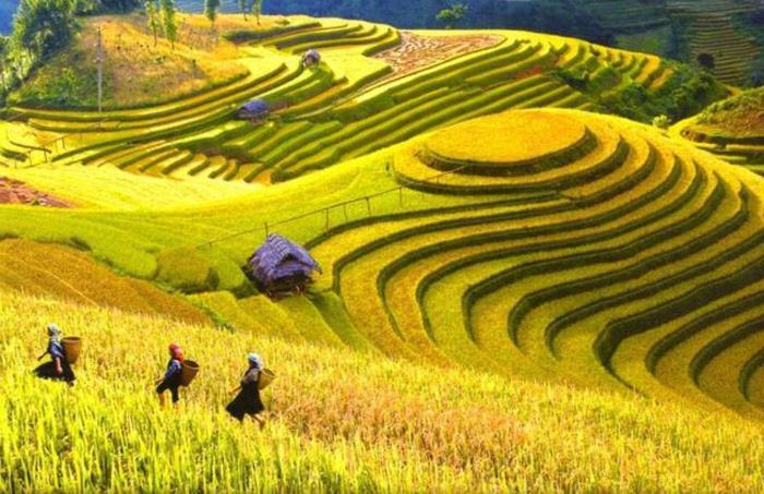 Hong Minh Guesthouse Mu Cang Chai Exteriér fotografie